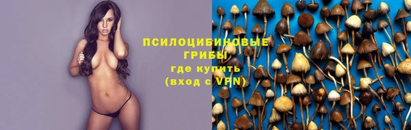 молекула духа Кукмор