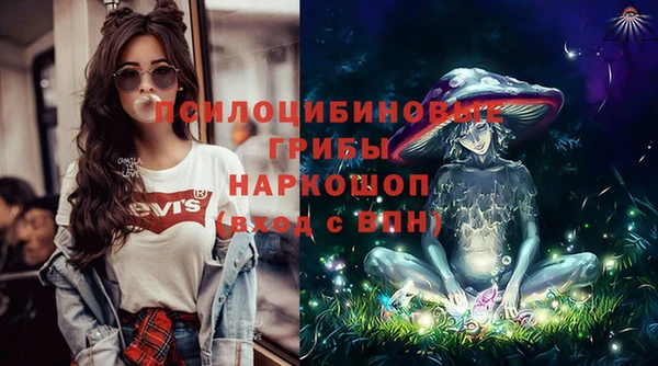 гашик Краснослободск