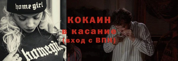гашик Краснослободск