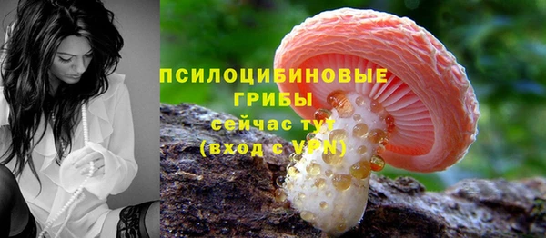 молекула духа Кукмор