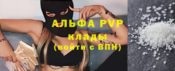 гашик Краснослободск