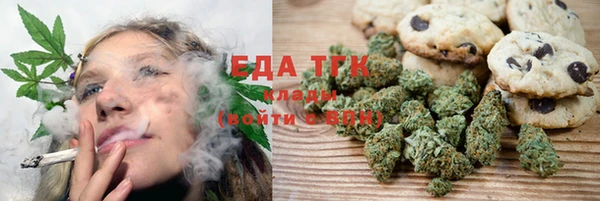 гашик Краснослободск