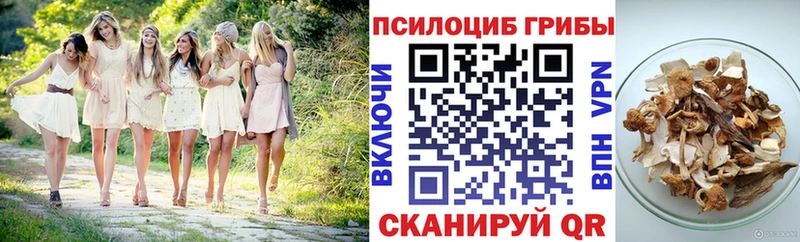 Купить Мосальск Галлюциногенные грибы MAGIC MUSHROOMS